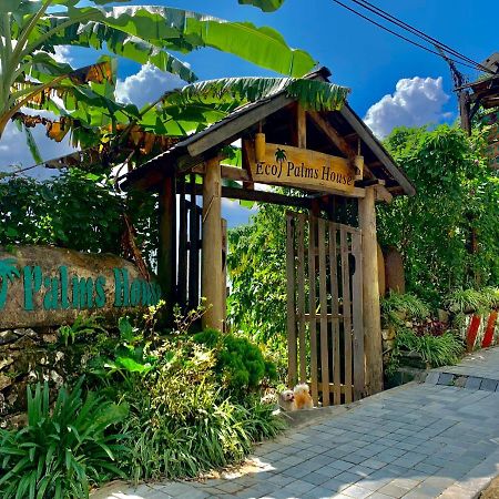 Отель Eco Palms House - Sapa Retreat Экстерьер фото