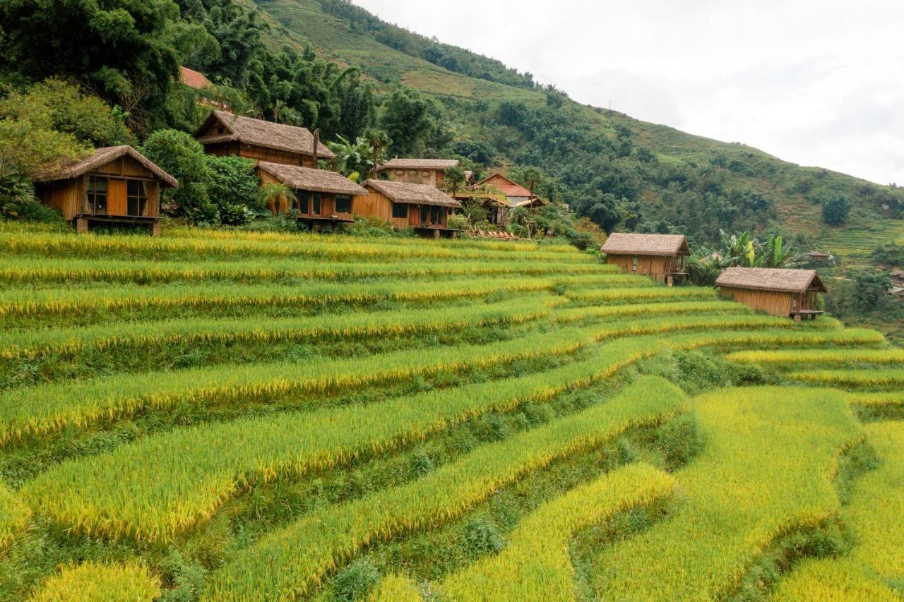 Отель Eco Palms House - Sapa Retreat Экстерьер фото