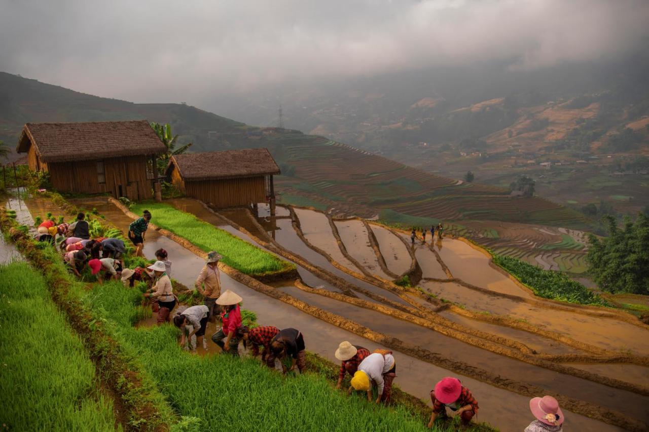Отель Eco Palms House - Sapa Retreat Экстерьер фото