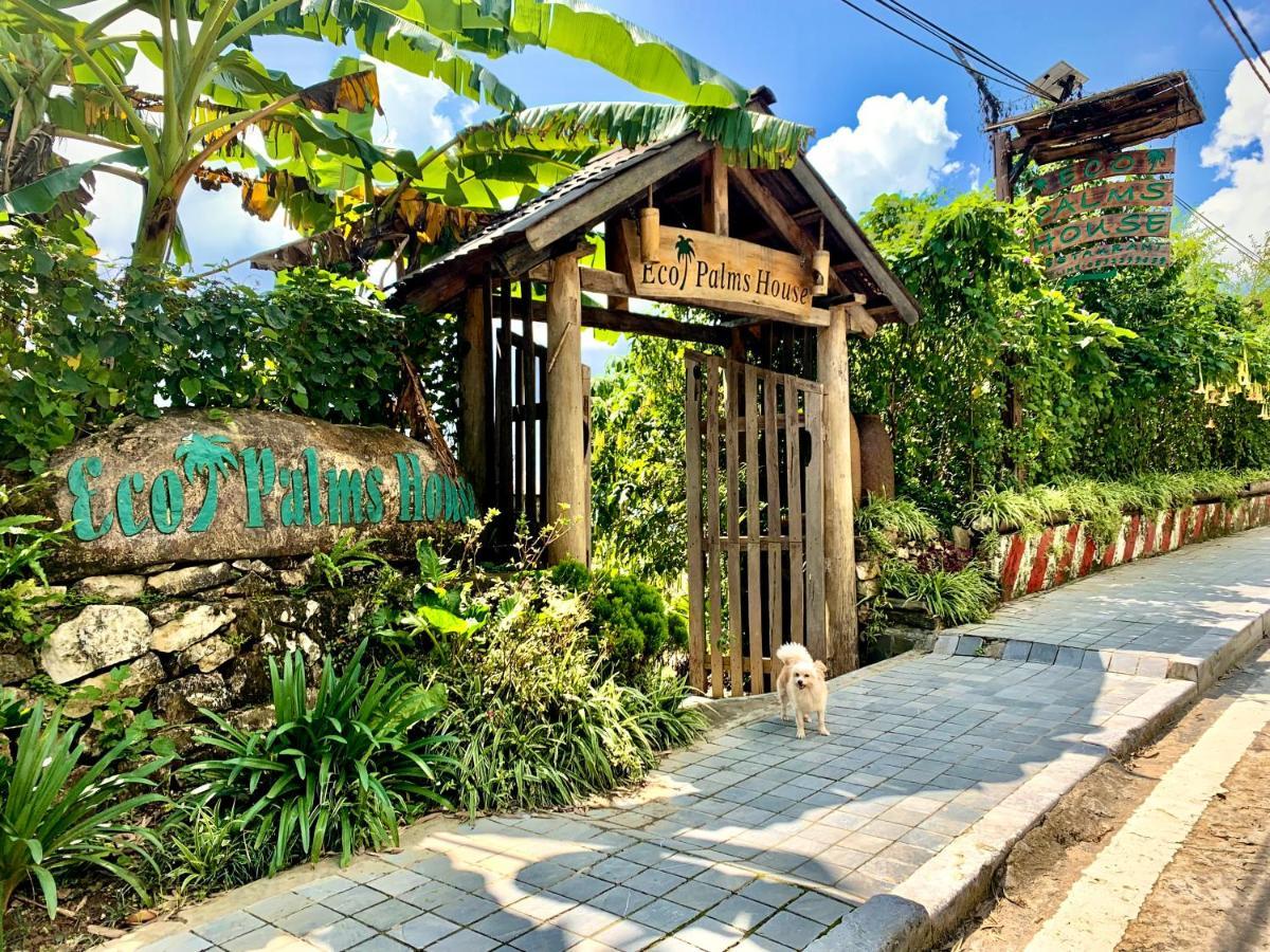 Отель Eco Palms House - Sapa Retreat Экстерьер фото