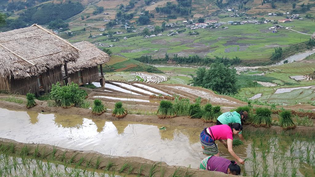 Отель Eco Palms House - Sapa Retreat Экстерьер фото