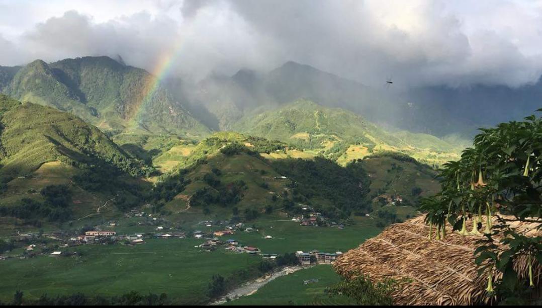 Отель Eco Palms House - Sapa Retreat Экстерьер фото