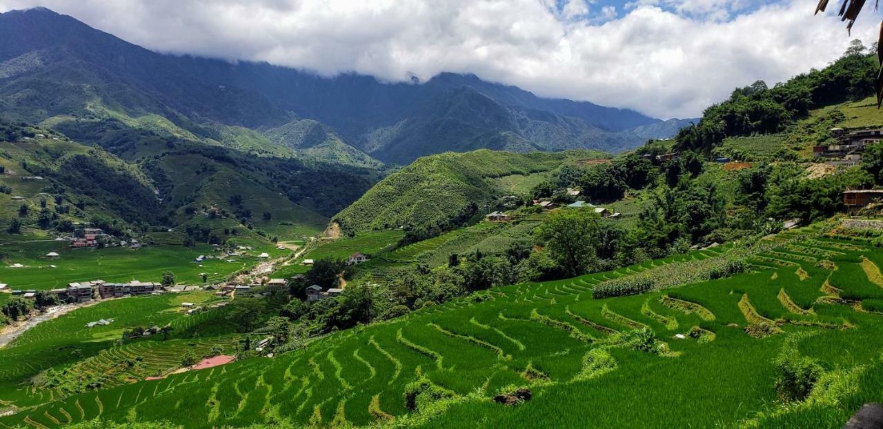 Отель Eco Palms House - Sapa Retreat Экстерьер фото