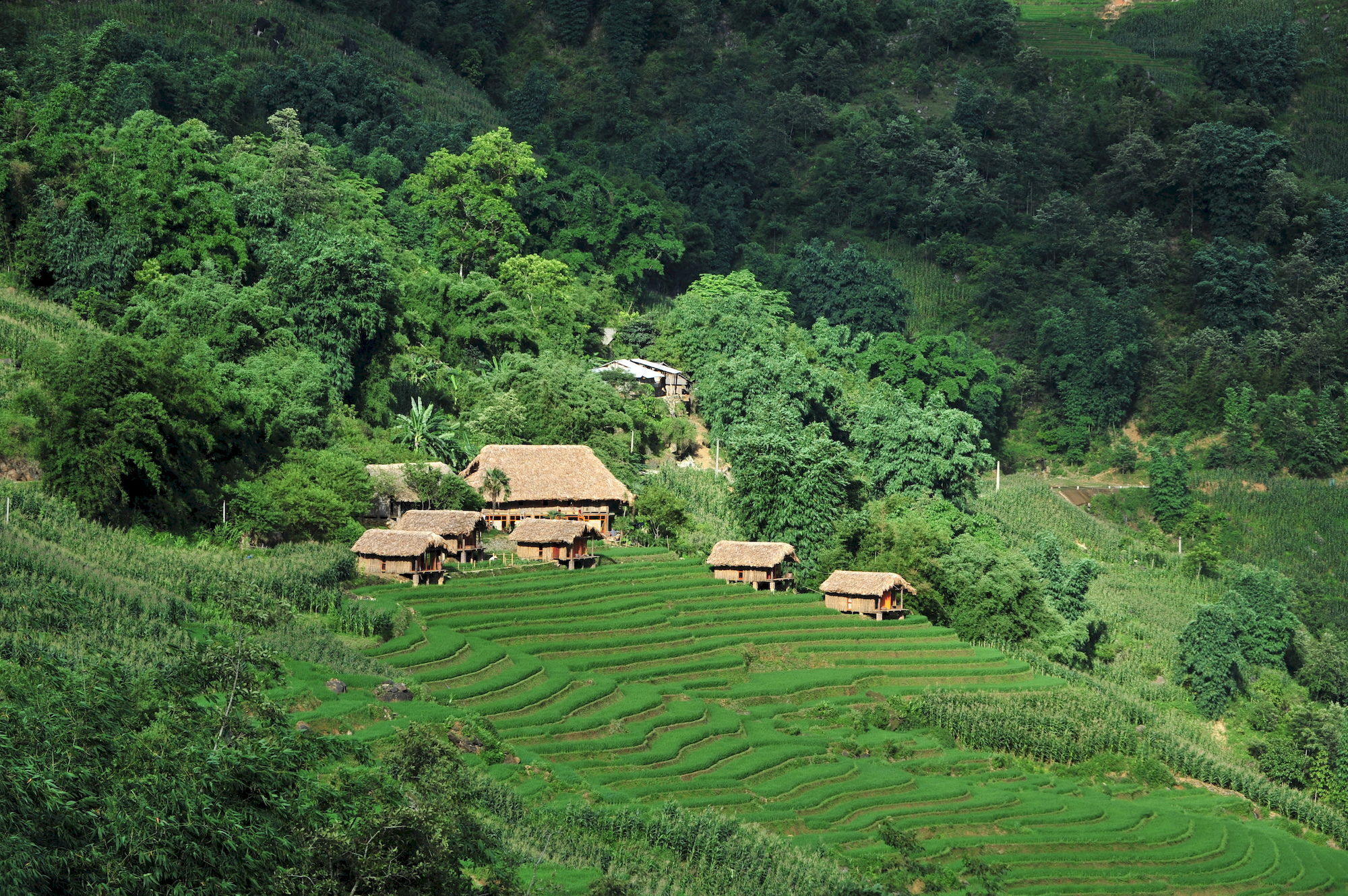 Отель Eco Palms House - Sapa Retreat Экстерьер фото